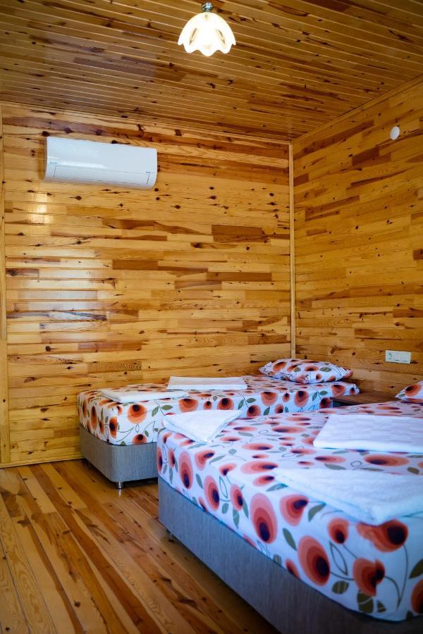Olimpia Hotel Olympos Buitenkant foto