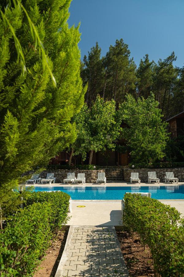 Olimpia Hotel Olympos Buitenkant foto