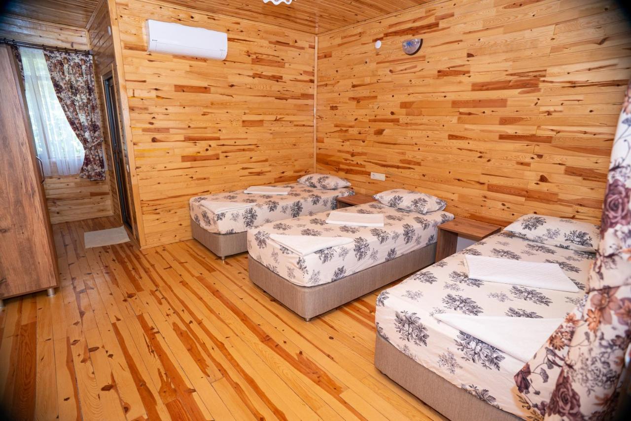Olimpia Hotel Olympos Buitenkant foto