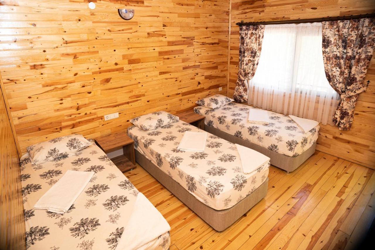 Olimpia Hotel Olympos Buitenkant foto