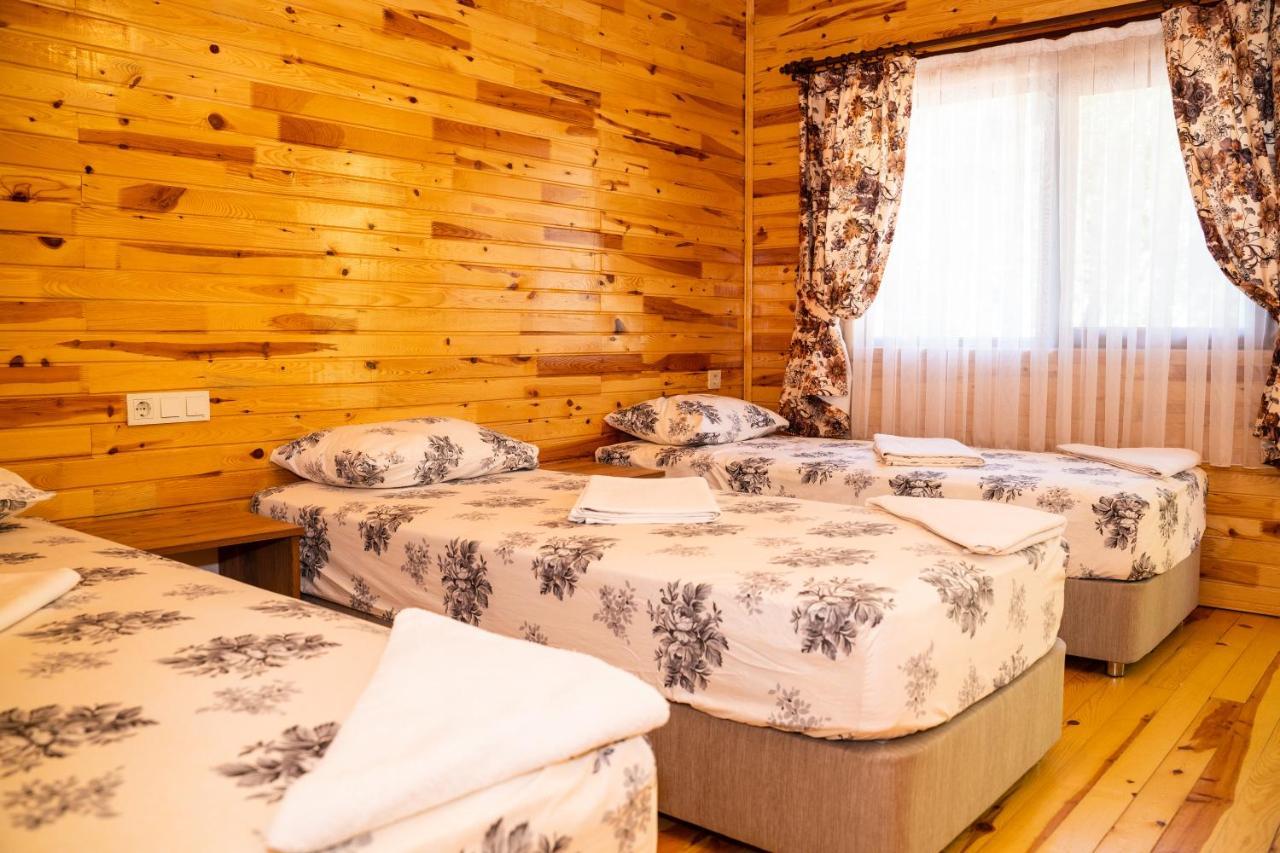 Olimpia Hotel Olympos Buitenkant foto