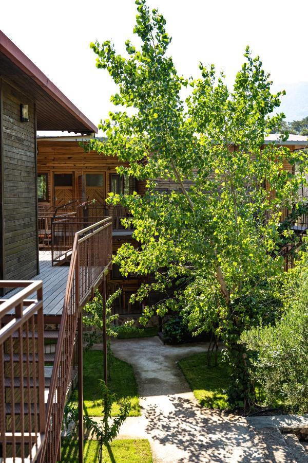 Olimpia Hotel Olympos Buitenkant foto